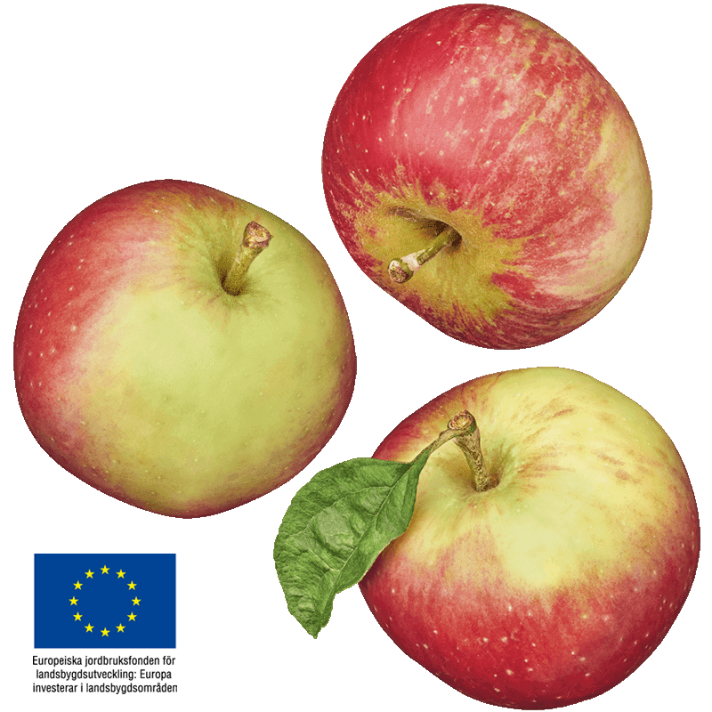 Äpplen med logotyp för Europeiska jordbruksfonden